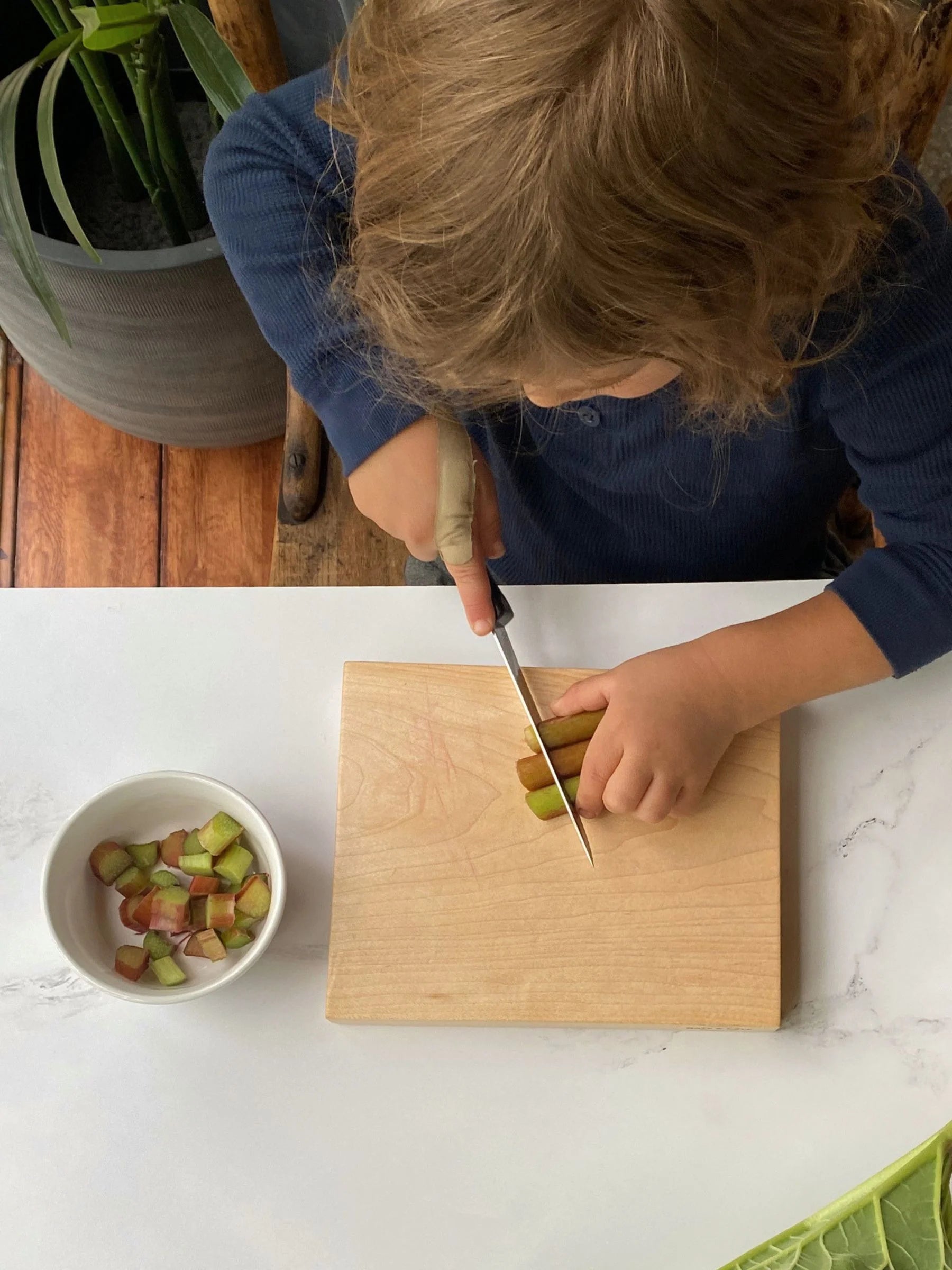 Solid Slab Cutting Boards