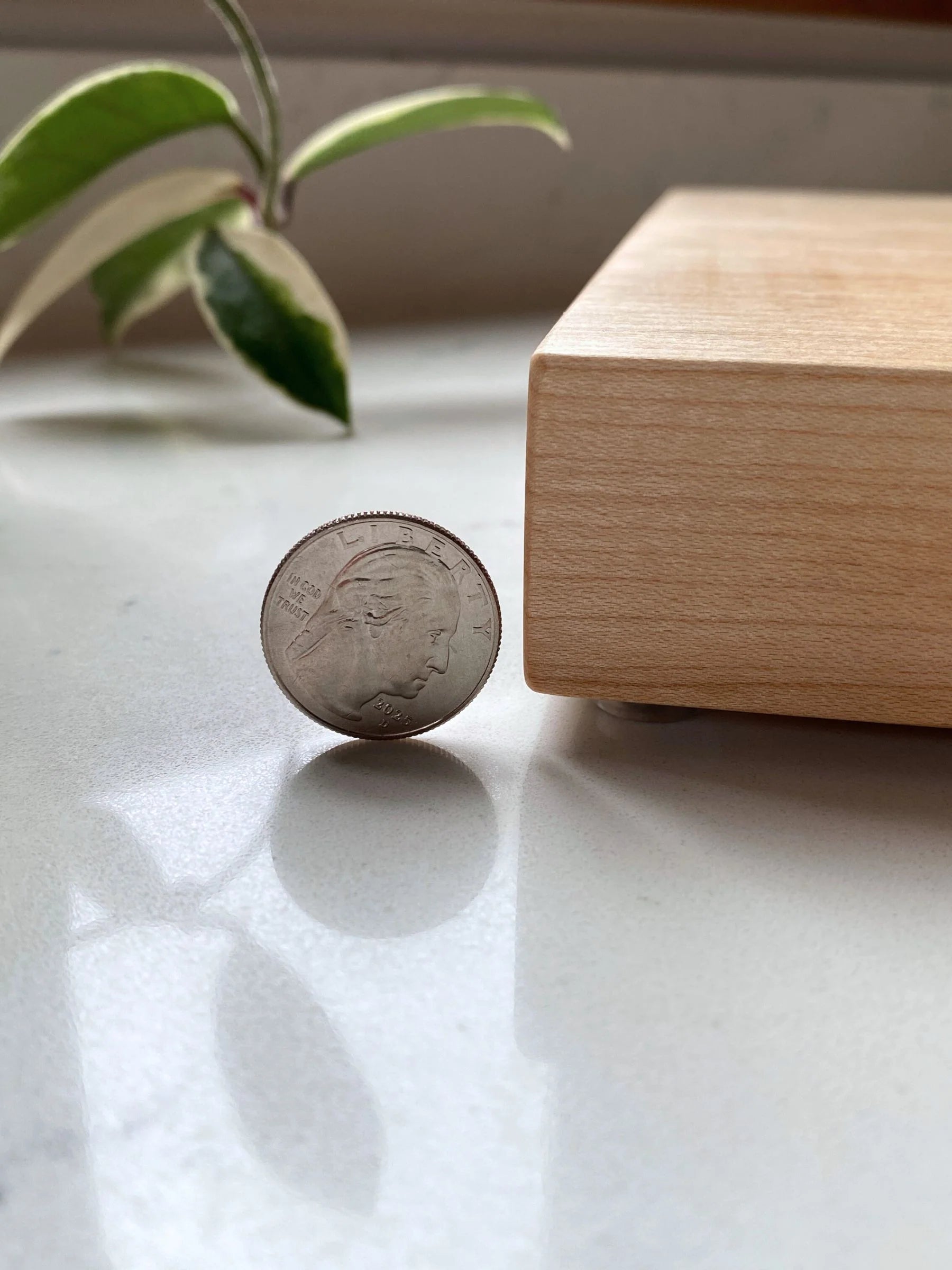 Solid Slab Cutting Boards